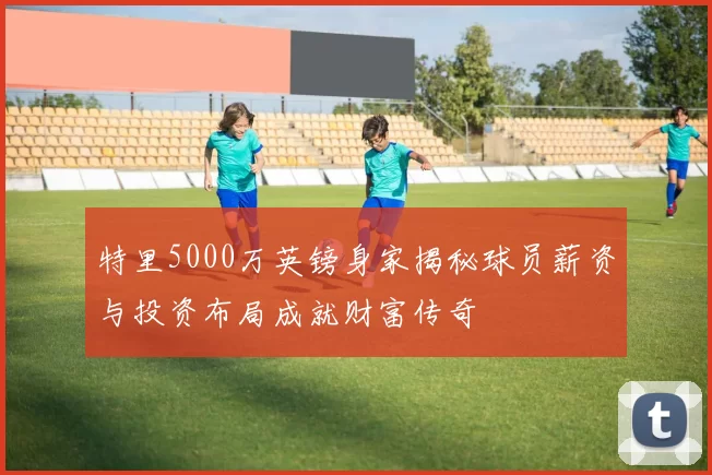 特里5000万英镑身家揭秘球员薪资与投资布局成就财富传奇