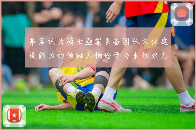 弗莱认为骑士亟需具备团队文化建设能力的领袖人物哈登与米切尔无法胜任
